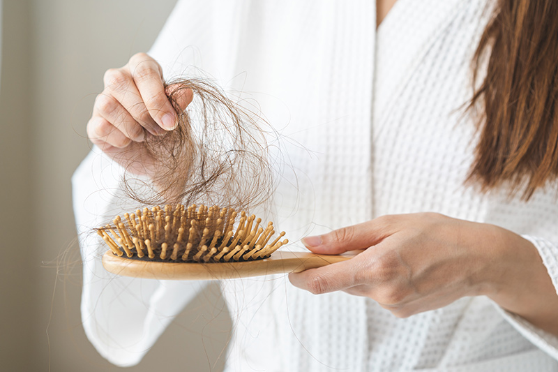 Close-up of a comb filled with strands of hair, illustrating hair fall or hair loss.